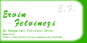 ervin felvinczi business card